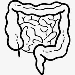 大肠和小肠肠图标高清图片