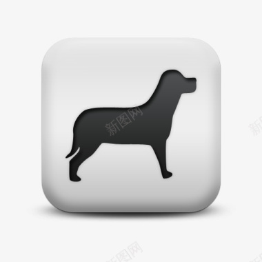 泰迪狗图片下载不光滑的白色的广场图标动物动物图标