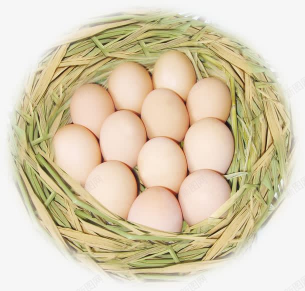 鸟窝蛋类png免抠素材_88icon https://88icon.com 土鸡蛋 家禽蛋 美食 蛋 蛋类 蛋蛋 食材 餐饮美食 鸟的庇护所 鸟窝 鸟蛋 鸡蛋