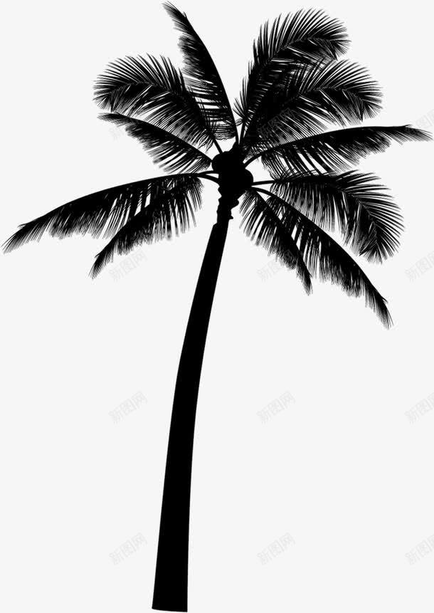 黑色剪影椰子树png免抠素材_88icon https://88icon.com 剪影 椰子树 黑色