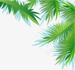 装饰绿色椰子树叶矢量图素材