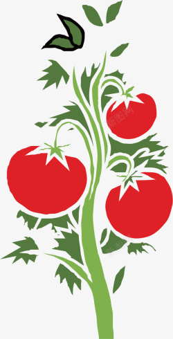茁壮生长的番茄树矢量图素材