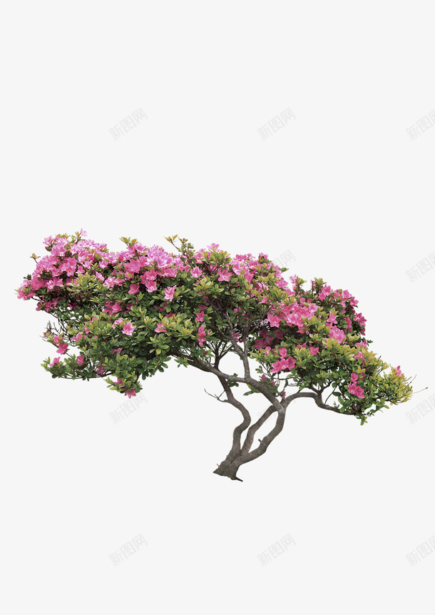 花朵树木景观装饰图案png免抠素材_88icon https://88icon.com 免抠PNG 景观 树木 花朵 装饰图案