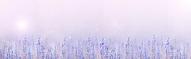 紫色天地jpg设计背景_88icon https://88icon.com 天地 紫色