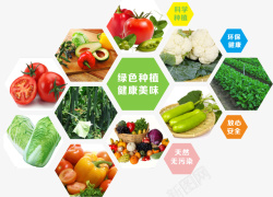 放心食用农村合作社蔬菜种植海报元素高清图片
