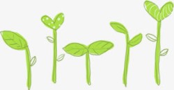绿色卡通漫画树叶爱心植物素材