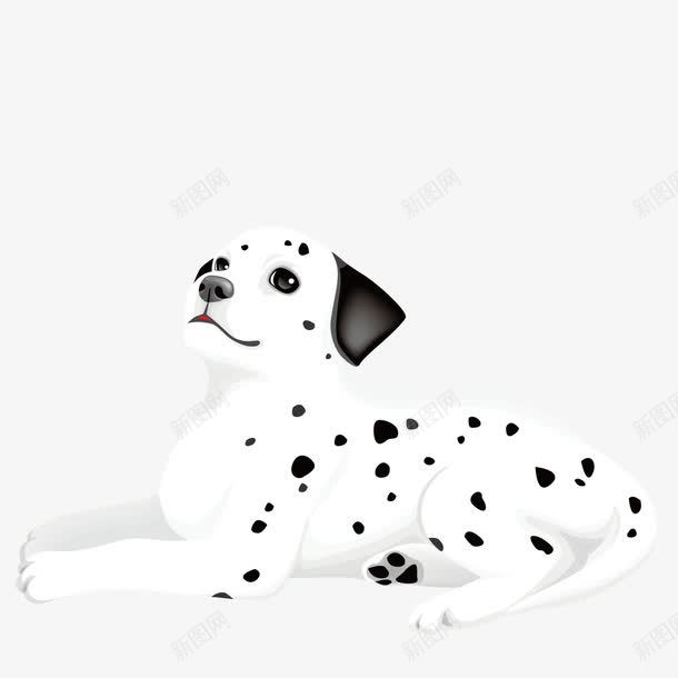 舒服的斑点狗png免抠素材_88icon https://88icon.com 宠物 斑点狗 斑点狗图案 舒服
