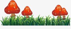 红色野生蘑菇素材
