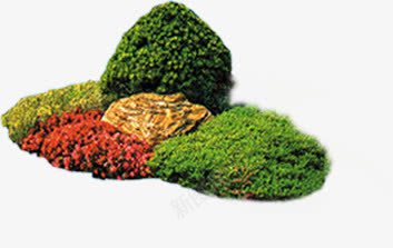 彩色景观植物装饰png免抠素材_88icon https://88icon.com 彩色 景观 植物 装饰