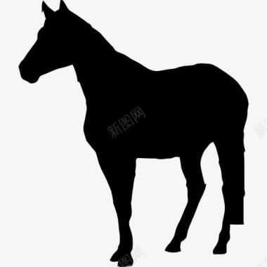 抽象马素材马站在黑色的剪影图标图标