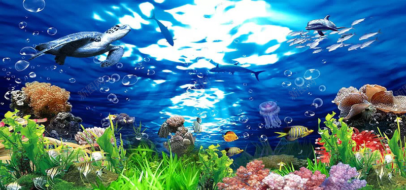 海底世界背景图摄影图片
