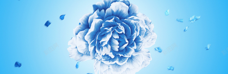 蓝色花朵背景海报psd设计背景_88icon https://88icon.com 其他 大自然 大自然清新 海报banner 花 花朵 花朵花瓣 花瓣 蓝色背景 高清