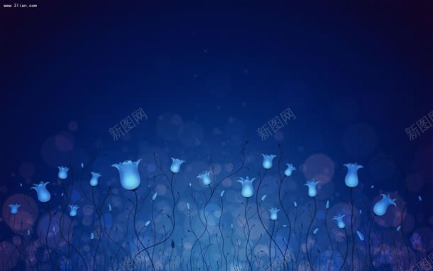安静纯蓝花朵夜空背景