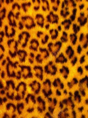 黄色豹子毛皮摄影背景
