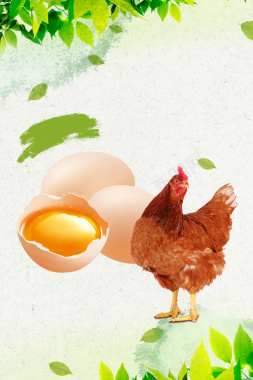 母鸡鸡蛋新鲜土鸡蛋宣传海报背景背景