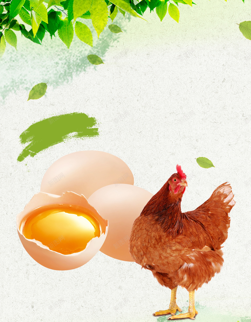 母鸡鸡蛋新鲜土鸡蛋宣传海报背景psd设计背景_88icon https://88icon.com 农家土鸡 土特产 新鲜鸡蛋 母鸡 海报背景 温暖 营养鸡蛋 鸡蛋宣传 鸡蛋市场 鸡蛋广告 鸡蛋配送