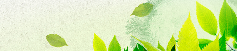 母鸡鸡蛋新鲜土鸡蛋宣传海报背景psd设计背景_88icon https://88icon.com 农家土鸡 土特产 新鲜鸡蛋 母鸡 海报背景 温暖 营养鸡蛋 鸡蛋宣传 鸡蛋市场 鸡蛋广告 鸡蛋配送