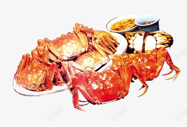 大闸蟹菜品png免抠素材_88icon https://88icon.com 大闸蟹 菜品 食品