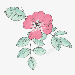粉红色花朵唯美手绘矢量图素材