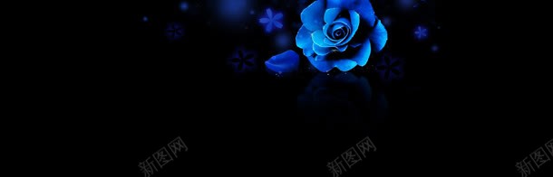蓝色玫瑰花梦幻背景banner背景