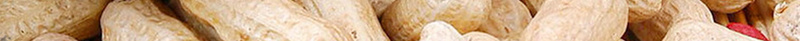 美食花生海报背景psd设计背景_88icon https://88icon.com 坚果 淡雅素材 素材花生 美食 美食坚果海报 美食花生海报 花生 花生海报