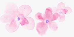 粉色水墨插画艺术花朵素材