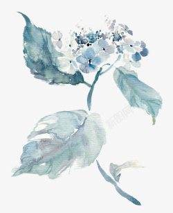 蓝色水墨画花朵叶片手绘插画素材