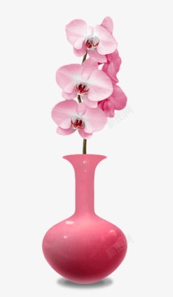 粉色花插在花瓶里素材