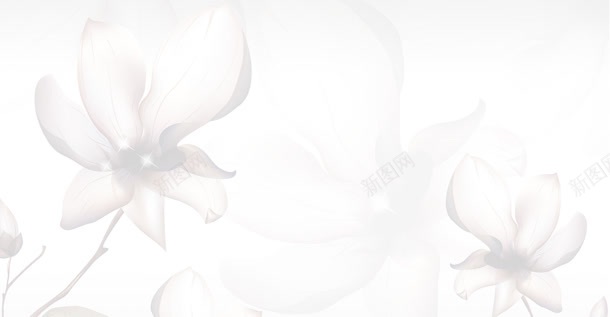 白色素雅花植物jpg设计背景_88icon https://88icon.com 植物 白色 素材 素雅