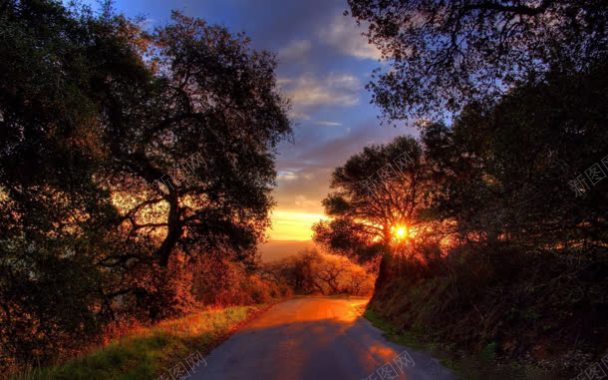 夕阳下树林里的道路背景