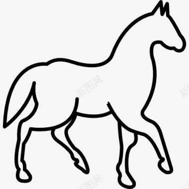 概述行走的马一只脚抬起图标图标