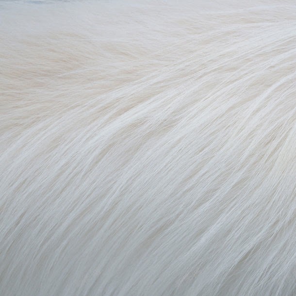 白色动物毛发jpg设计背景_88icon https://88icon.com 其它类别 动物 图片素材 毛发 白色 白色动物毛发图片 白色动物毛发图片素材下载 皮毛 背景 背景图案 背景花边