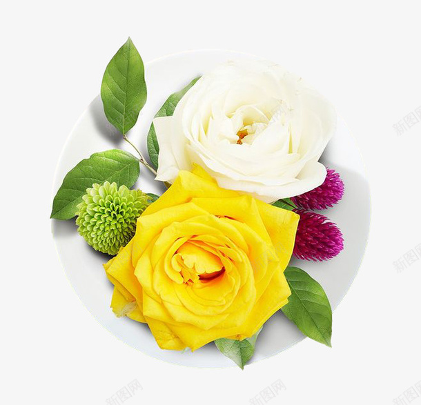 鲜花玫瑰郁金香兰花png免抠素材_88icon https://88icon.com 兰花 玫瑰 玫瑰真花 郁金香 鲜花