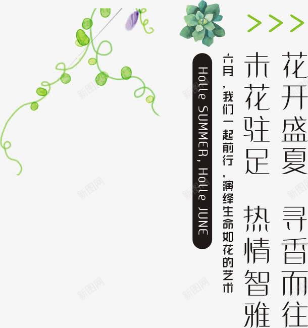 盛夏花开诗句png免抠素材_88icon https://88icon.com 手绘植物