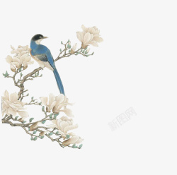 中国风淡雅工笔画树枝花鸟高清图片
