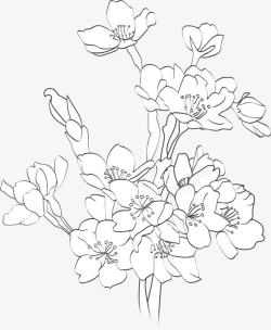 手绘黑色素描花朵装饰素材
