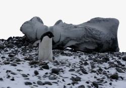 南极风景图素材