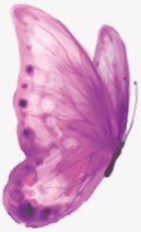 中秋节手绘紫色蝴蝶素材