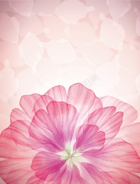 矢量粉色浪漫梦幻透明花朵背景背景