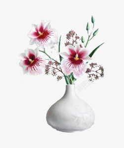 白色花瓶与渐变粉色蝴蝶花素材
