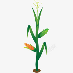 农业食品绿色玉米杆卡通手绘图高清图片