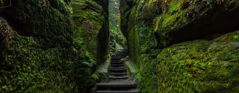 深山峡谷苔藓背景摄影图片