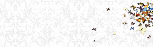 简约唯美蝴蝶海报背景bannerjpg设计背景_88icon https://88icon.com banner 海报 简约 背景 蝴蝶