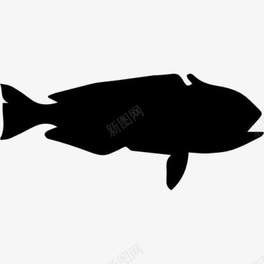 鱼形状的方头鱼图标图标