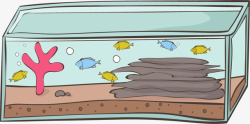 鱼缸清水漂亮的鱼缸高清图片