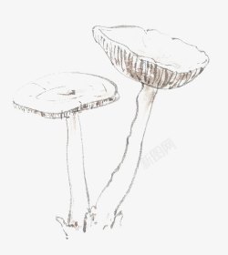手绘白色蘑菇素材