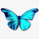 创意合成蓝色的花蝴蝶素材