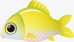 黄色的小鱼素材