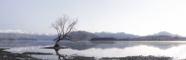清新湖泊小树风景背景
