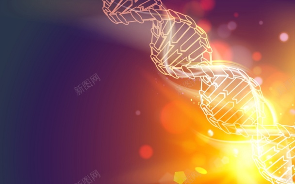 基因DNA矢量图背景